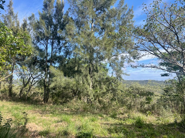 3 Bedroom Property for Sale in Summerpride Eastern Cape